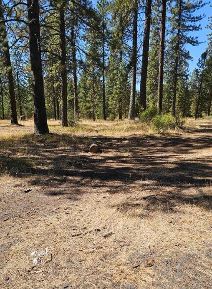Primary Photo Of 11 Parkside Court, Mccloud Land For Sale