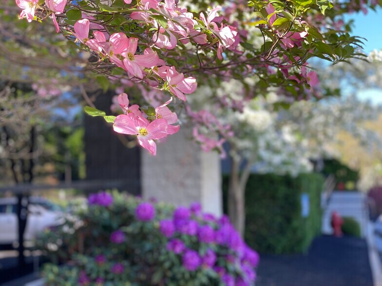 More Photos Of 13 Branch St, Methuen Medical For Lease