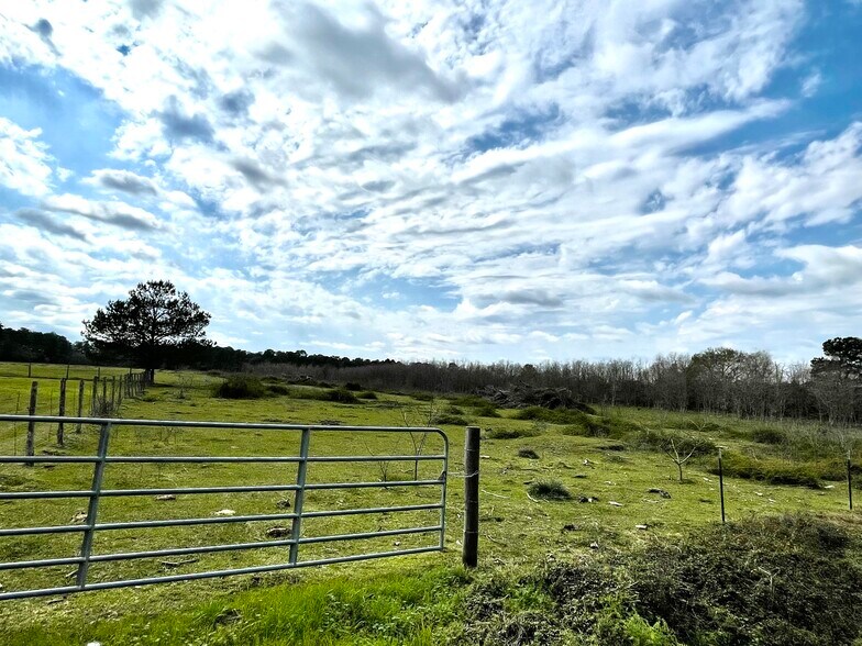 More Photos Of 0 WALLER TOMBALL Rd, Hockley Land For Sale