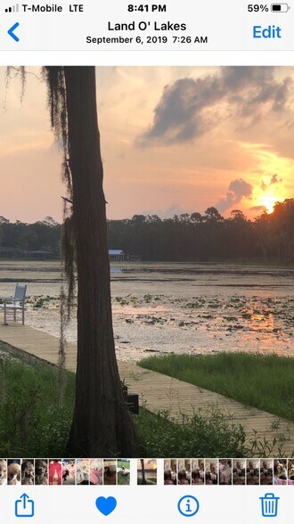 More Photos Of 22129 Carson Dr, Land O' Lakes Specialty For Sale