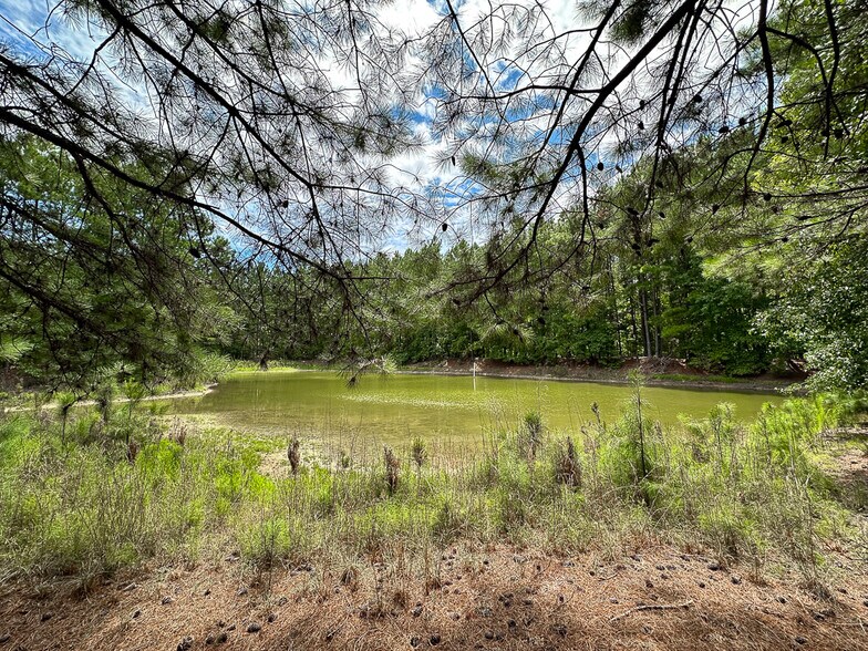 More Photos Of US 401 S Hwy, Youngsville Land For Sale