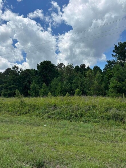 Primary Photo Of 4315 Thomas Sumter hwy, Dalzell Land For Sale