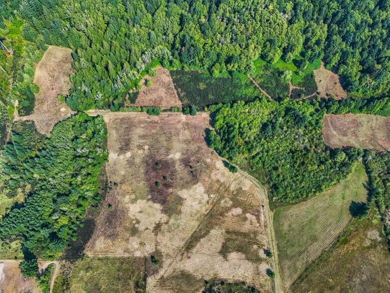 More Photos Of 104 Bills Ln, Onalaska Land For Sale