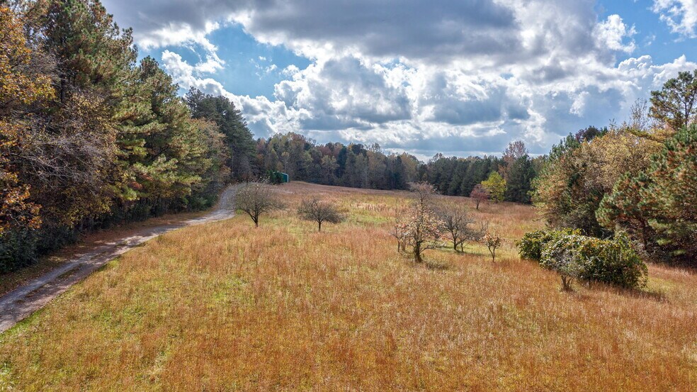 More Photos Of 4219 New Hope Church Rd SE, Acworth Land For Sale