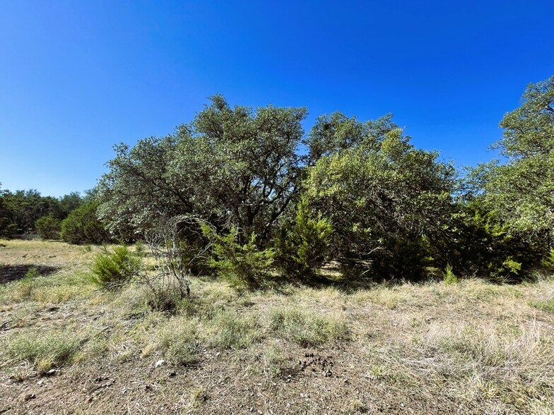 More Photos Of 1276 Farm to Market Road 574, Mullin Land For Sale