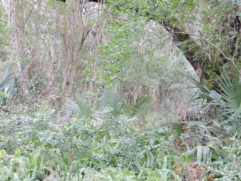 More Photos Of 2008 Nickerson Ln, Jacksonville Land For Sale