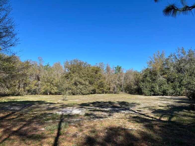 More Photos Of 0000 Tarpon Springs Rd, Odessa Land For Sale