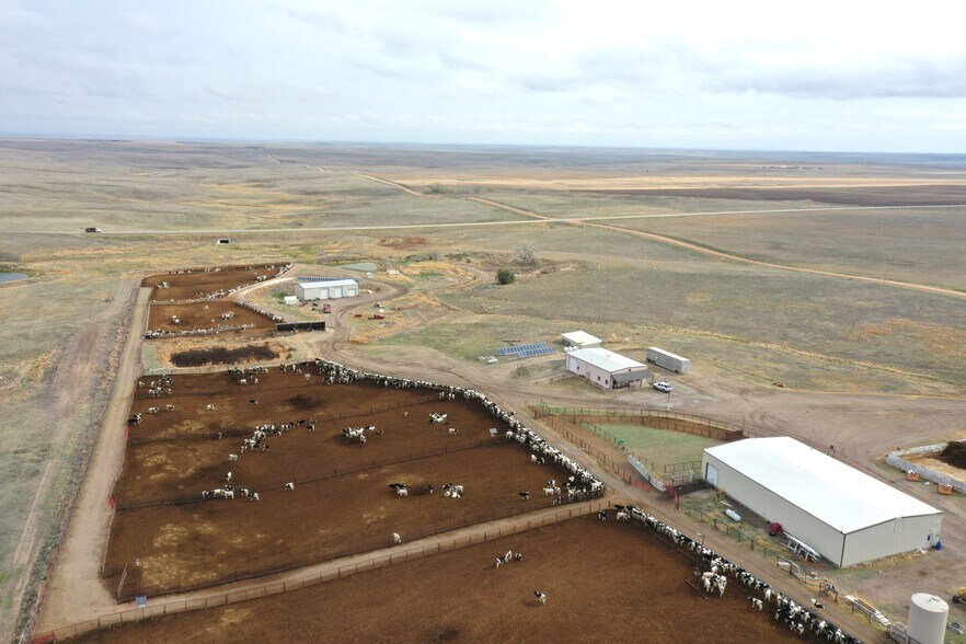 More Photos Of 11905 Co Rd 5, Merino Land For Sale