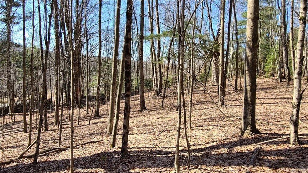 More Photos Of Old Route 17 @ County Route 174, Harris Land For Sale