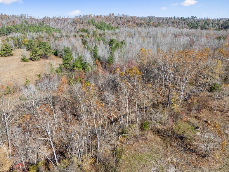 More Photos Of 0 Tennessee River Blue Creek Rd. Rd, Waverly Land For Sale