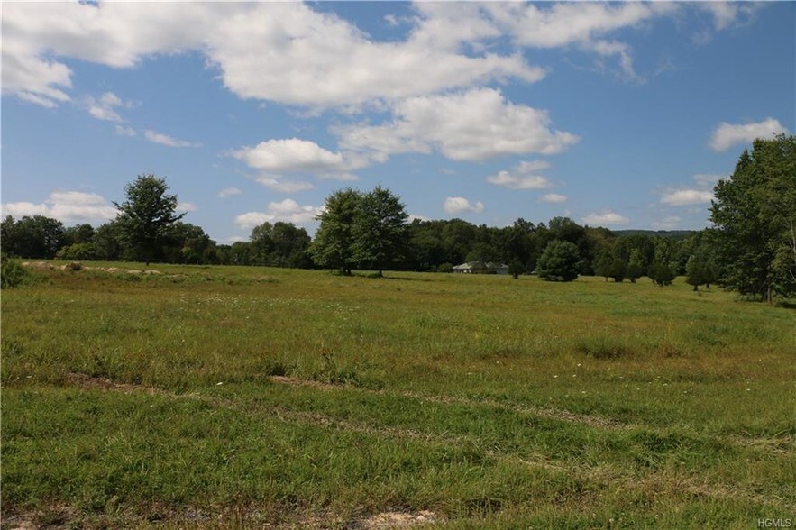 More Photos Of 269 Stone Schoolhouse Rd, Bloomingburg Land For Lease
