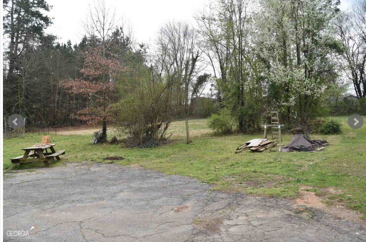 More Photos Of 3814 Highway 17 Hwy, Eastanollee Land For Sale