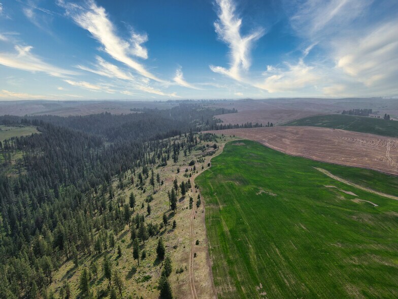 More Photos Of 45XXX Devore Rd, Davenport Land For Sale