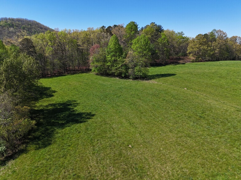 More Photos Of 1489 Boy Scout Rd, Blairsville Land For Sale