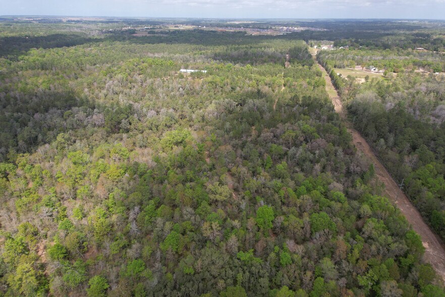 More Photos Of 12960 County Road 48, Silverhill Land For Sale