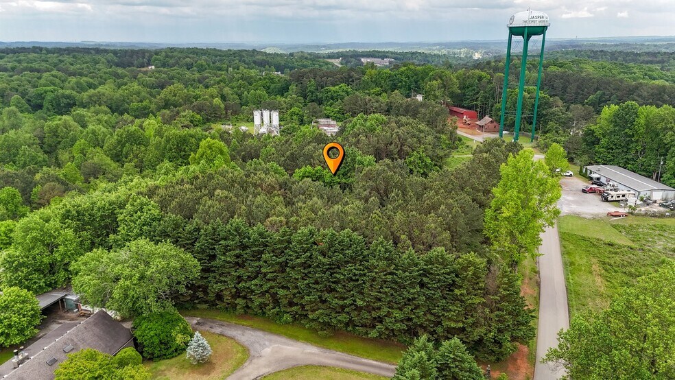 More Photos Of 0 Liberty Ln, Jasper Land For Sale