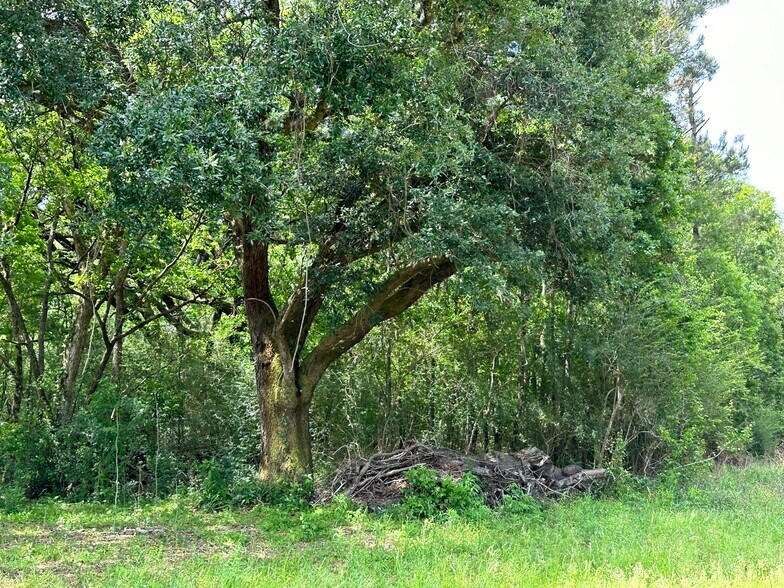 More Photos Of 0 Wilmer, Wilmer Land For Sale