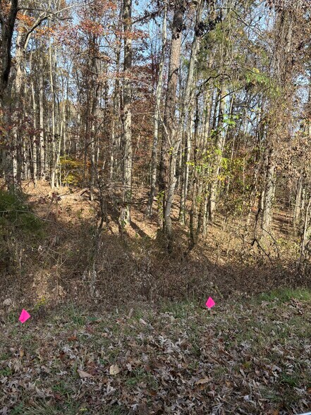 More Photos Of 3207 Broad st, Gum Spring Land For Sale