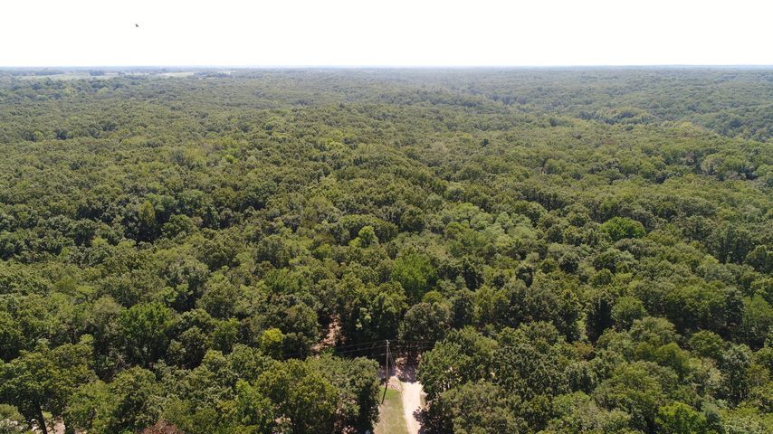 More Photos Of 55600 E 319 Trl, Jay Land For Sale