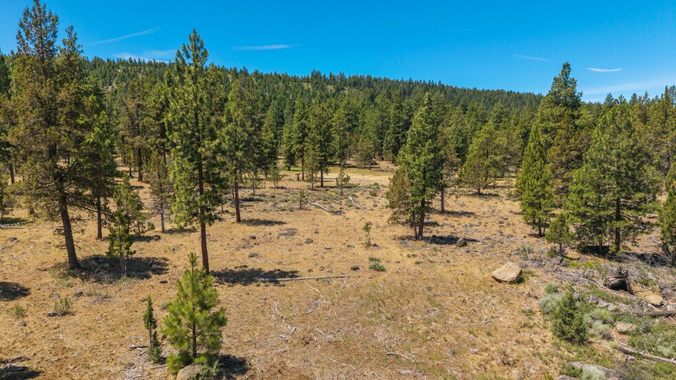 More Photos Of 0 Blue Wing Street, Keno Land For Sale