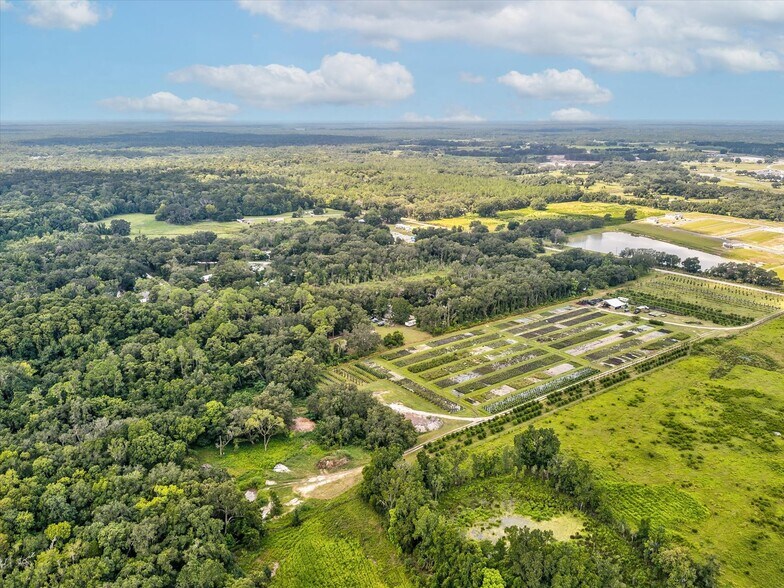 More Photos Of 2816 Crystal Springs Rd, Zephyrhills Winery Vineyard For Sale