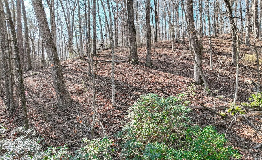 More Photos Of 9384 Skitts Mountain Dr, Lula Land For Sale