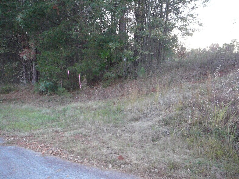 More Photos Of 10.5 Acs Royal American Rd, Anderson Land For Sale