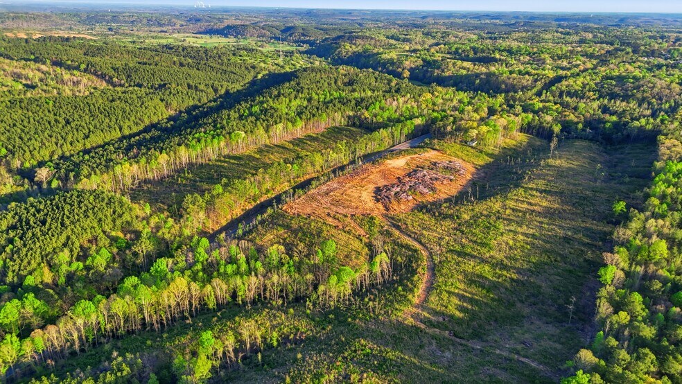 More Photos Of 0 Highway 269, Parrish Land For Sale