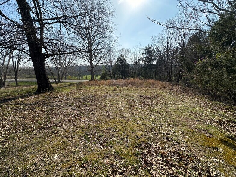 More Photos Of 7312 Highway 60, Georgetown Land For Sale