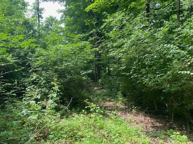 More Photos Of 24 Devito Dr, Newburgh Land For Sale