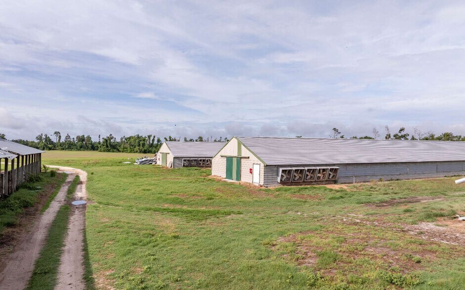 More Photos Of 1083 SW County Road 351, Mayo Land For Sale