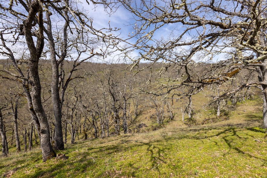 More Photos Of 60 Hartwig Road, Lyle Land For Sale