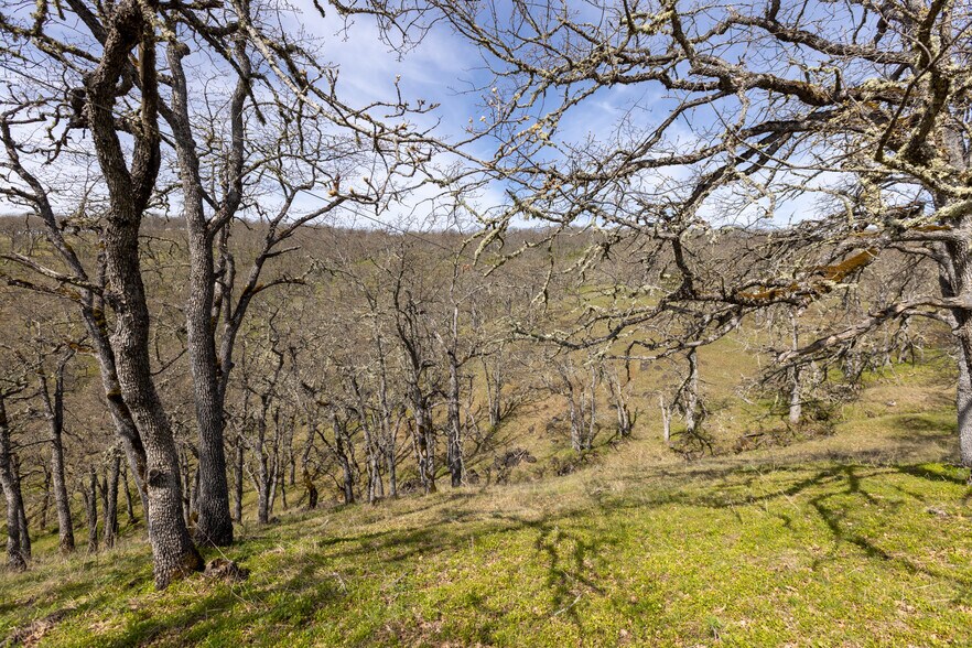 More Photos Of 60 Hartwig Road, Lyle Land For Sale