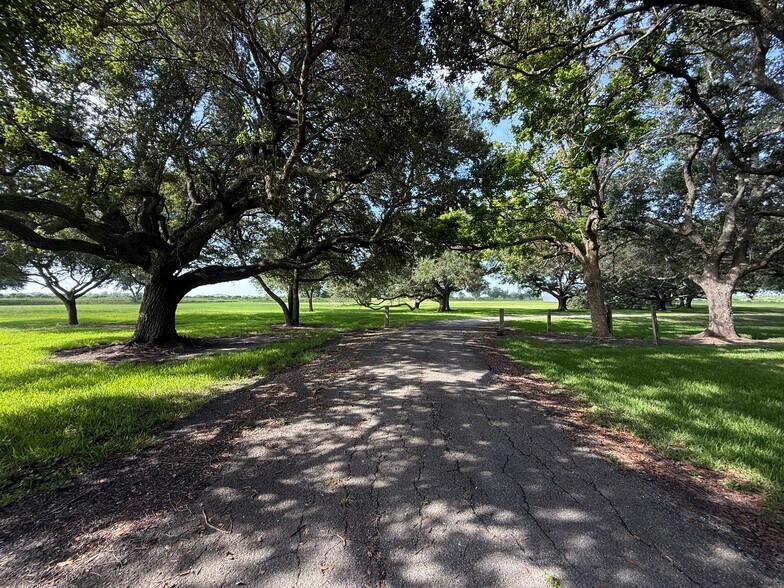 More Photos Of 525 Olede Devillier Road, Winnie Land For Sale