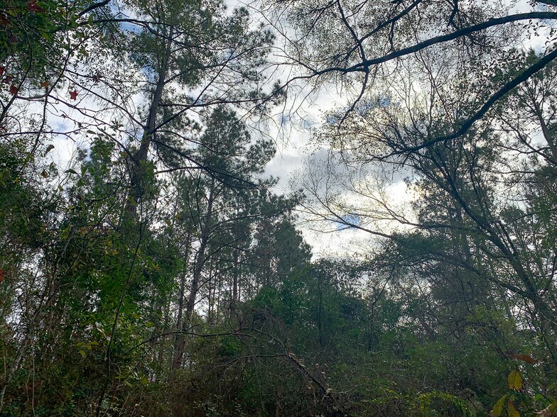 More Photos Of Highway 190, Huntsville Land For Sale