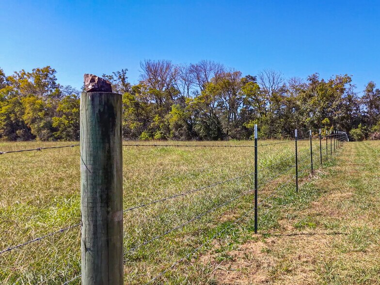 More Photos Of 360 Hwy 27 N, Mount Ida Land For Sale