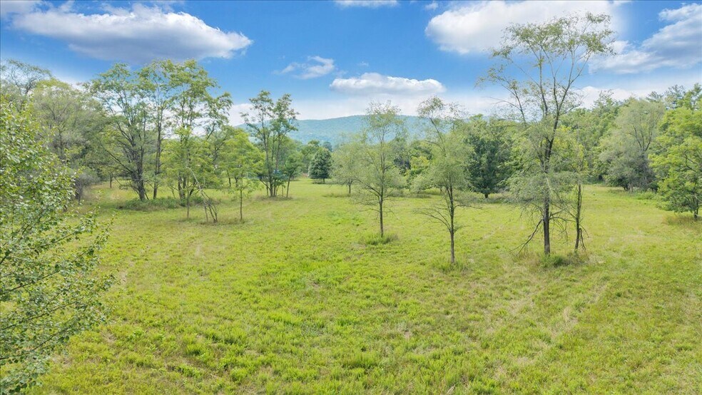 More Photos Of 0 Challenger Ave, Roanoke Land For Sale