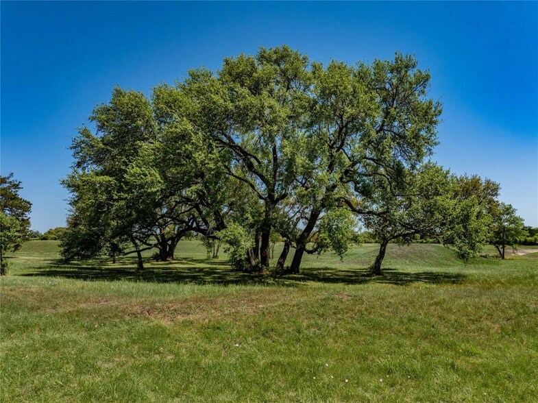 More Photos Of TBD Farm to Market Road 1291, Round Top Land For Sale