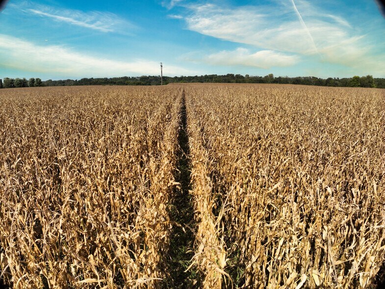 More Photos Of Red Ball Rd, Rockford Land For Sale