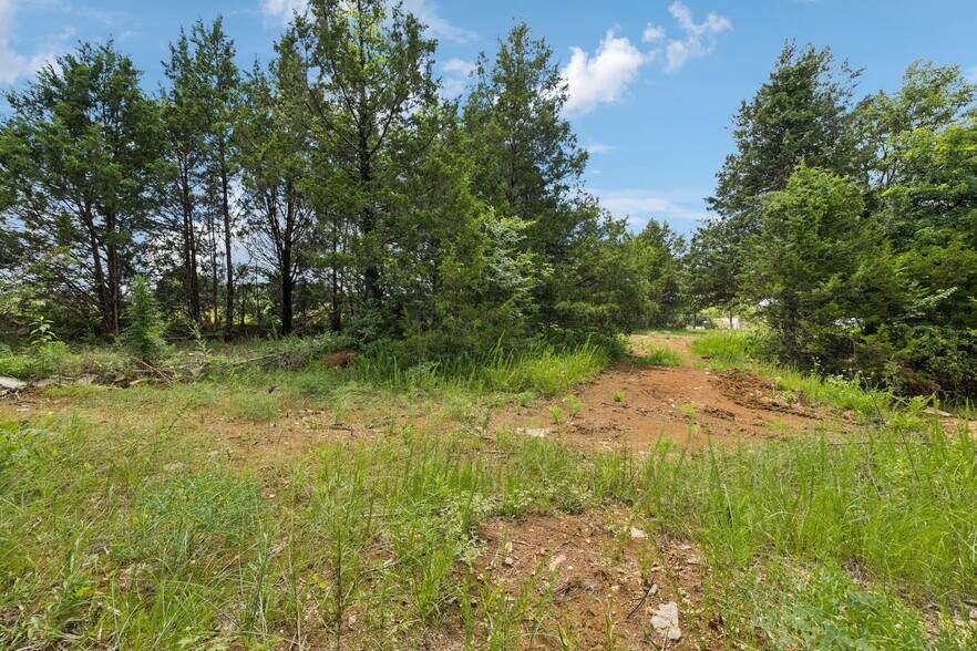 More Photos Of 7665 Shelbyville Pike, Christiana Land For Sale