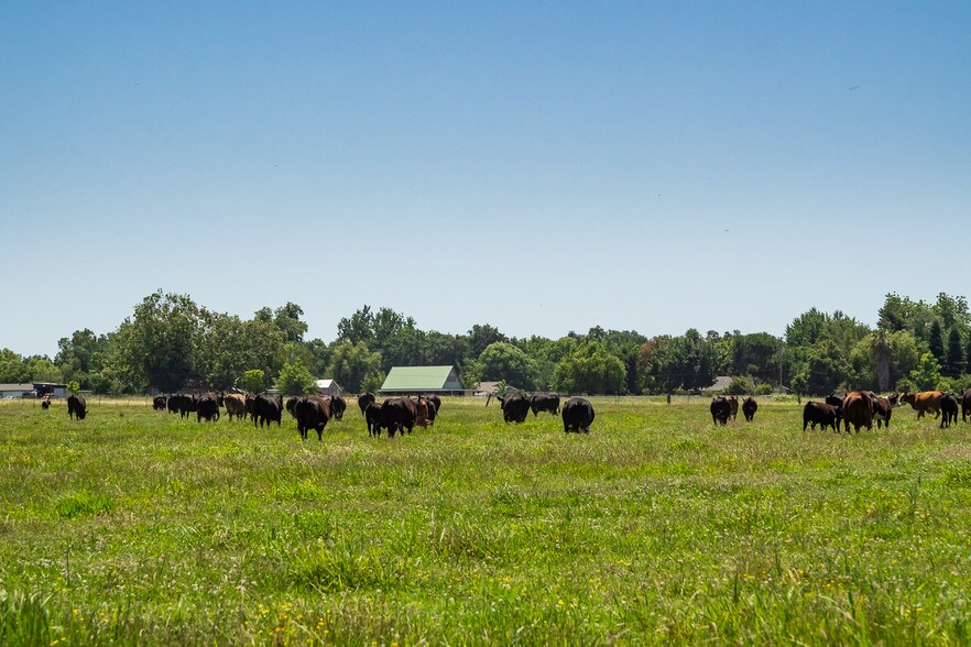 More Photos Of 9335 Shasta Blvd, Los Molinos Land For Sale