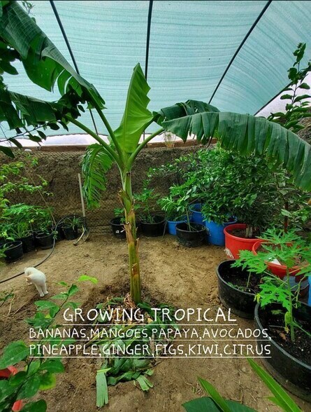 More Photos Of 13915 US 70, Fort Thomas Land For Sale