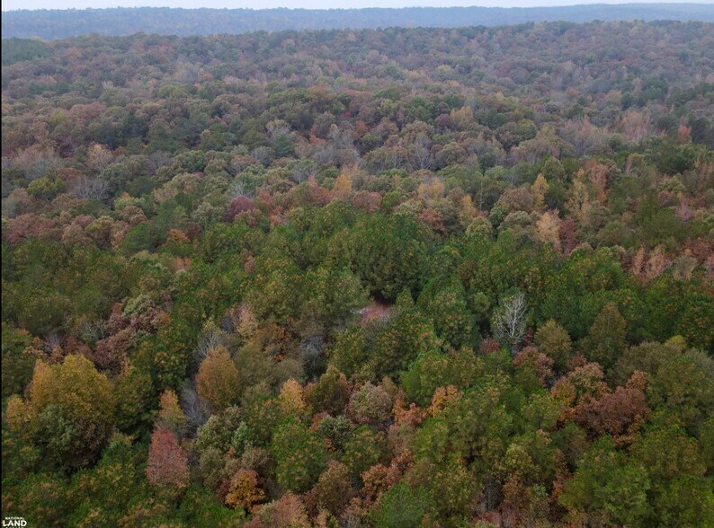 More Photos Of EO Road, Odenville Land For Sale