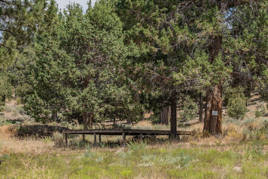 More Photos Of 550 Eagle Rdg Ln, Big Bear Lake Land For Sale