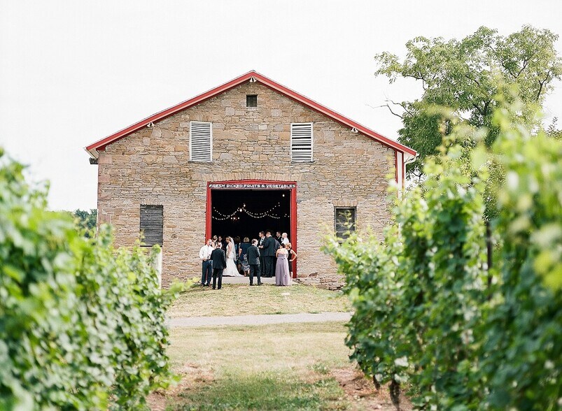 More Photos Of 5138 Lower Mountain Rd, Lockport Winery Vineyard For Sale