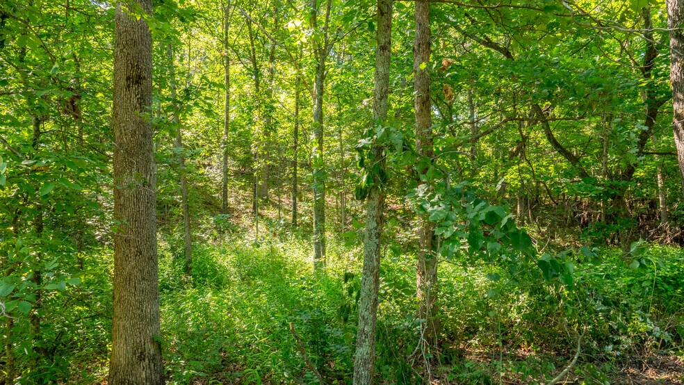 More Photos Of 1975 State Road NN, Climax Springs Warehouse For Sale