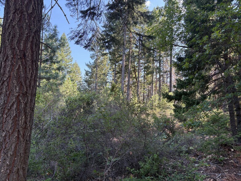 More Photos Of Castle Lake Rd, Mount Shasta Land For Sale