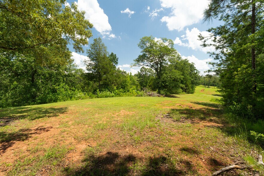 More Photos Of 1310 County Road 269, Wedowee Land For Sale