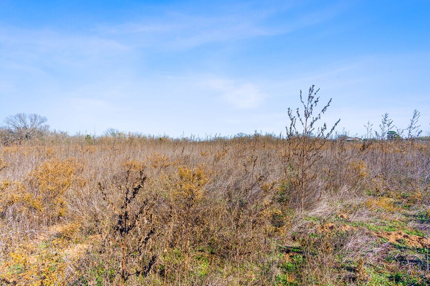 More Photos Of 10866 US-90, Harwood Land For Sale