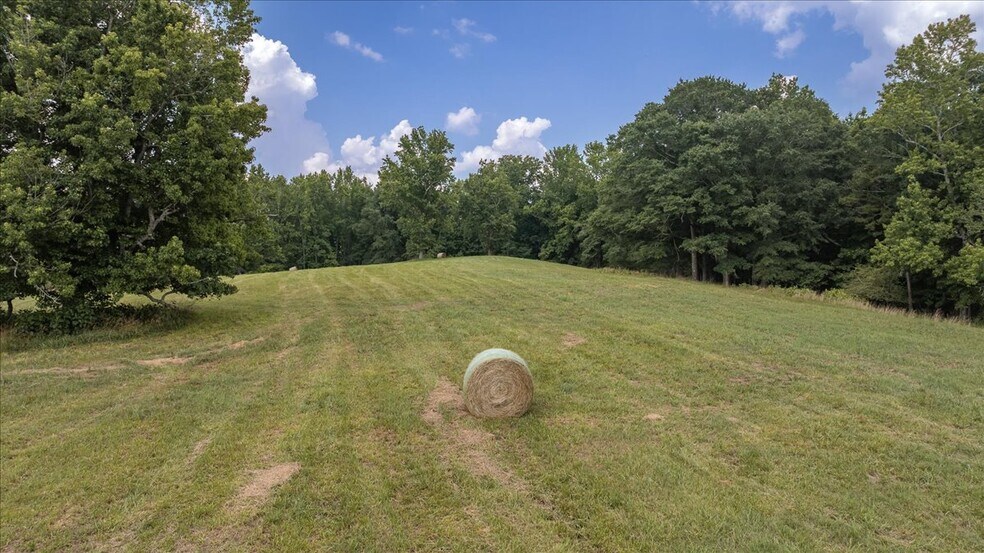 More Photos Of 9400 Commerce Rd, Athens Land For Sale